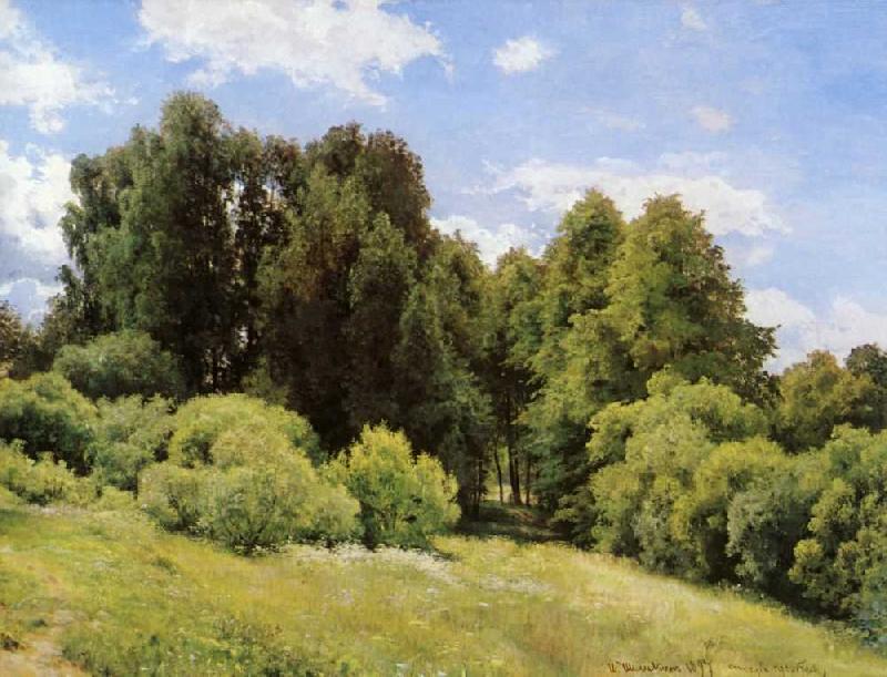 Ivan Shishkin Forest Glade oil painting picture